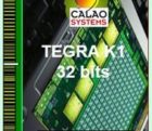 Processeur Nvidia Tegra K1 pour systèmes embarqués durcis calao-240315