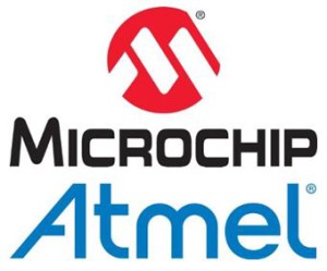 Microchip-140116